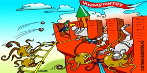 местный иммунитет